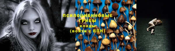 сатива Киренск