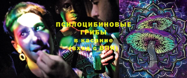 молекула духа Киреевск