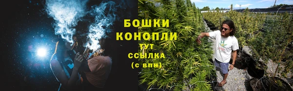 молекула духа Киреевск