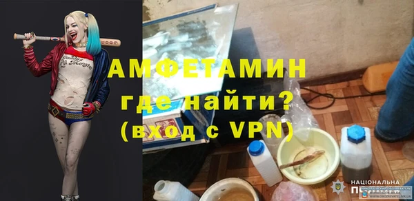 гашик Козловка