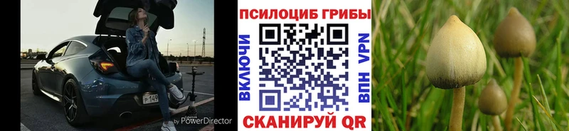Псилоцибиновые грибы Magic Shrooms  купить закладку  Кирс 